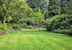 Optimiser l'expérience du jardin à Laveissiere